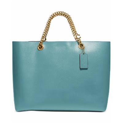 Coach Signature Chain Convertible Leather Tote